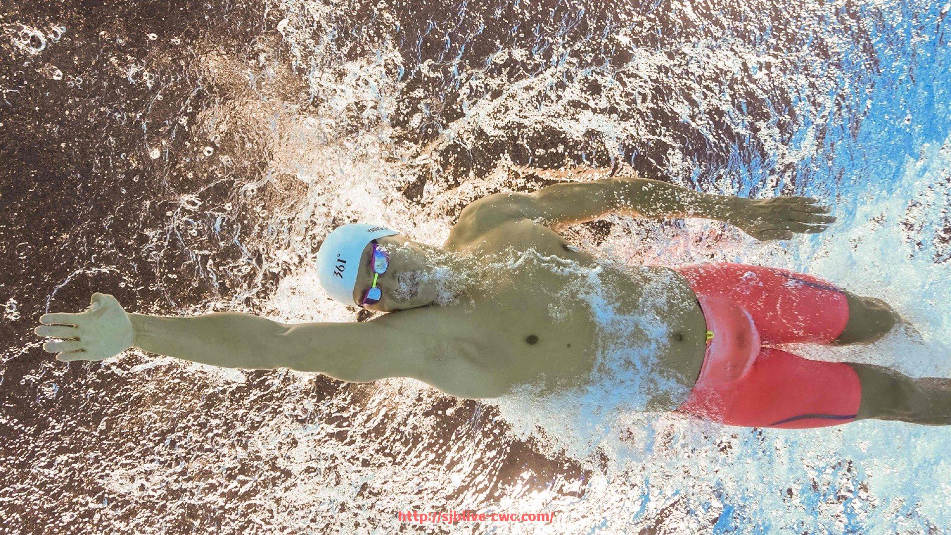 世俱杯直播-最常用的健身器材推荐及其在体育训练中的实际应用